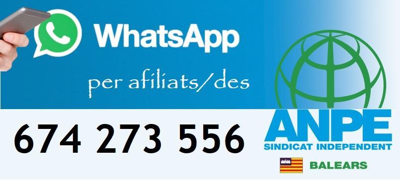 whatsapp-image-2020-11-09-at-11.34.48