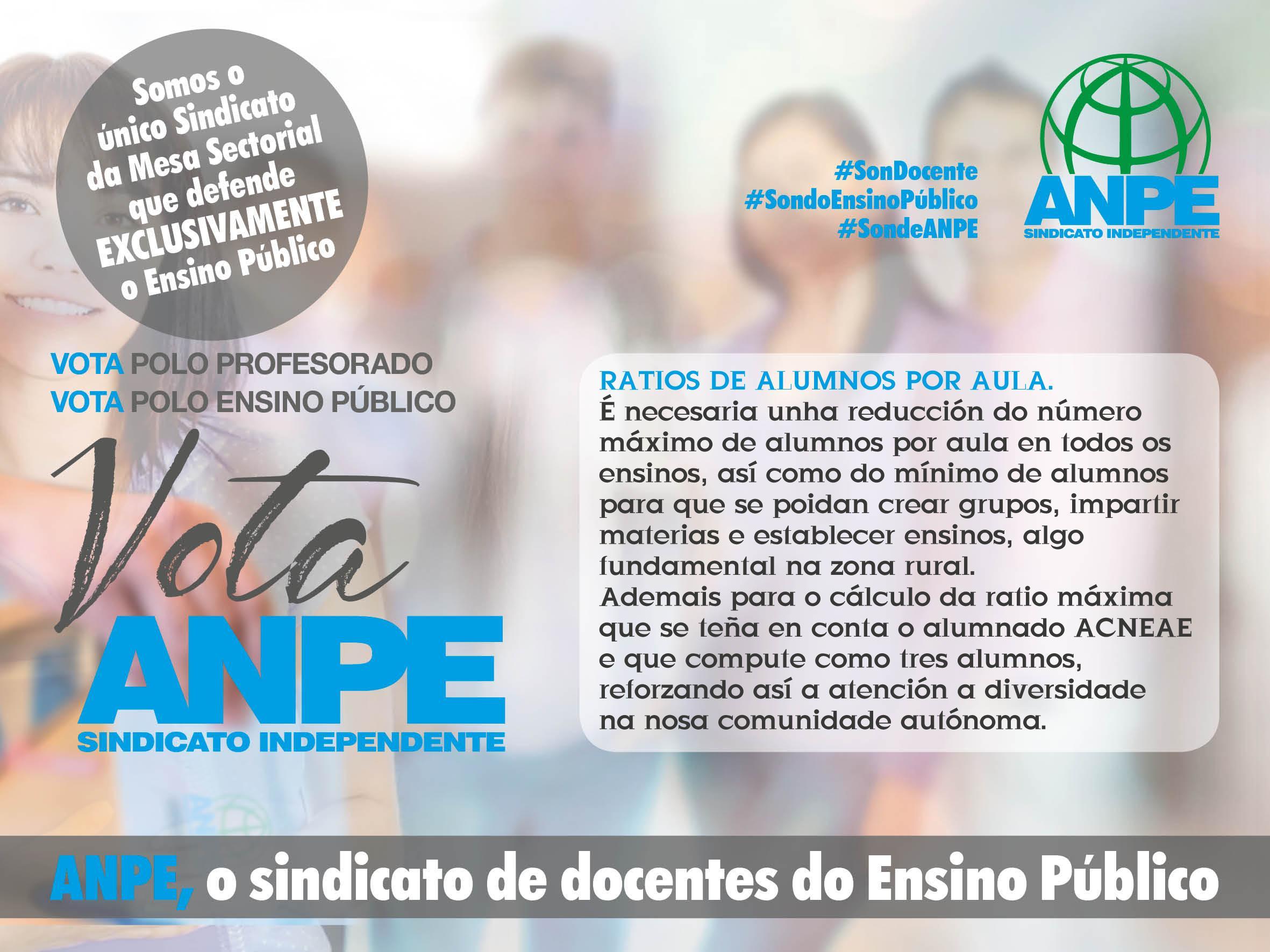 anpe-elecci-ns-sindicais--2018-3