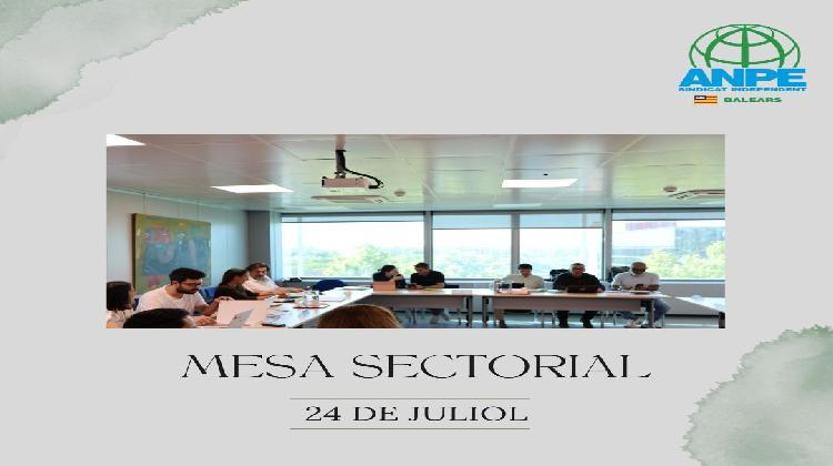 mesa-sectorial-sobre-el-procÉs-d-estabilitzaciÓ